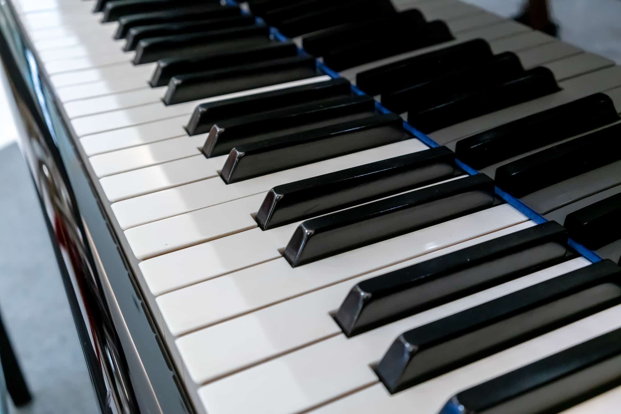 5 of the Best Casio Keyboards for Beginners and Professionals Alike