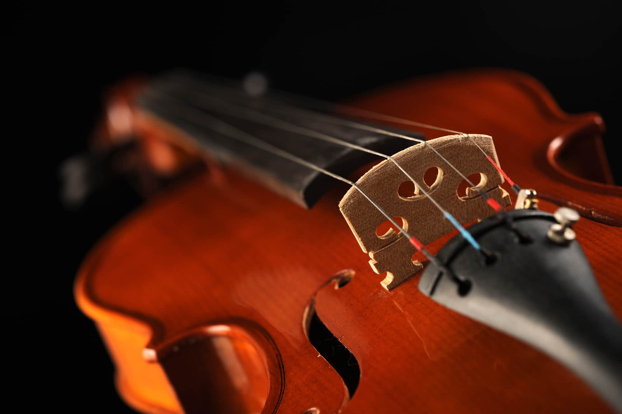 Best Violin Brands for Beginners A Buying Guide