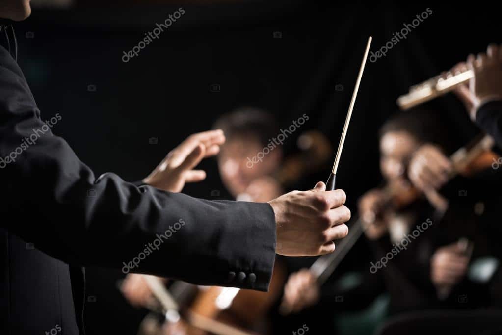 VGEBY Music Baton Musical Ebony Handle Music Band Conducting Baton for Choral Symphony Concert